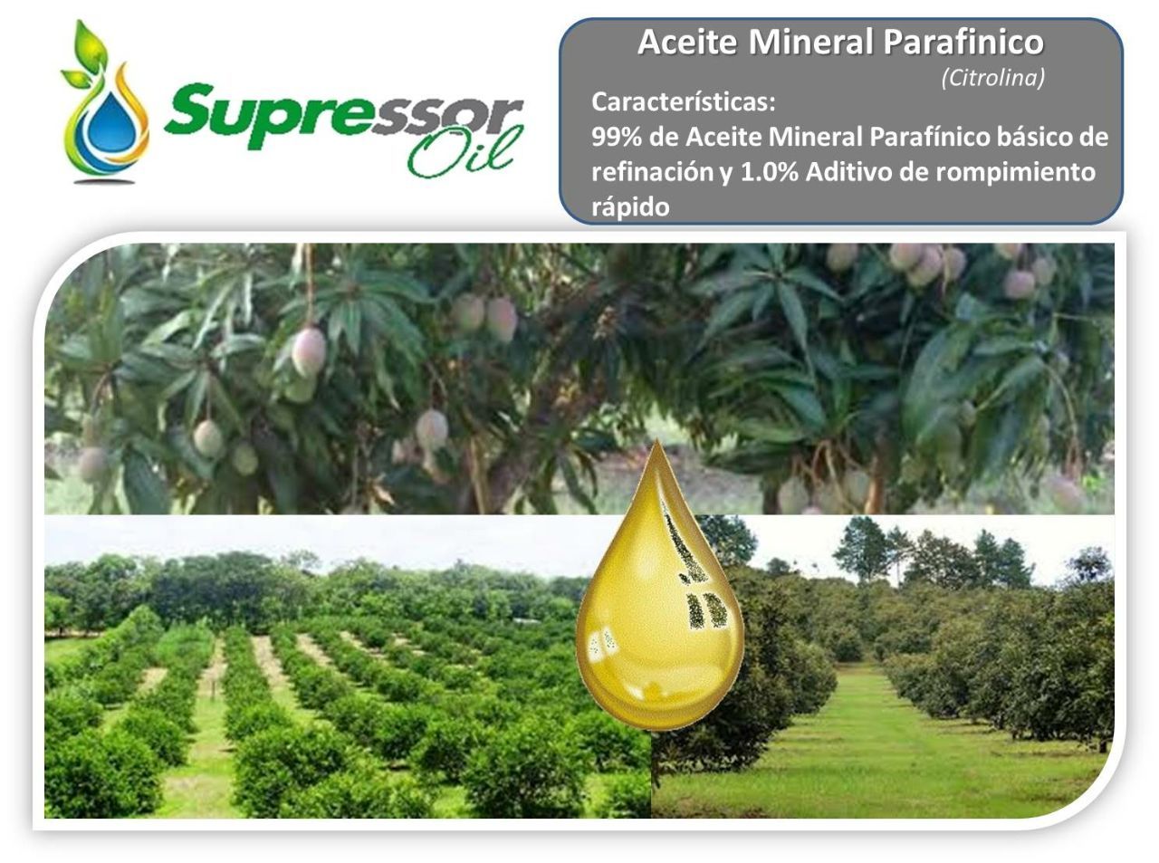 Adherente Agricola 